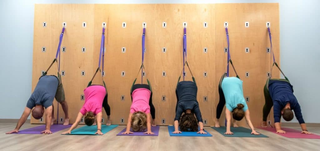 Yoga Class in Down Dog on Yoga Wall